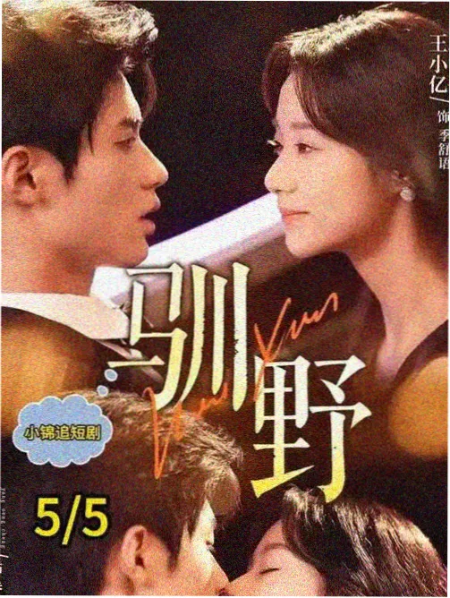 恒星视频资讯配图，剧集观察条目批量更新的记录页